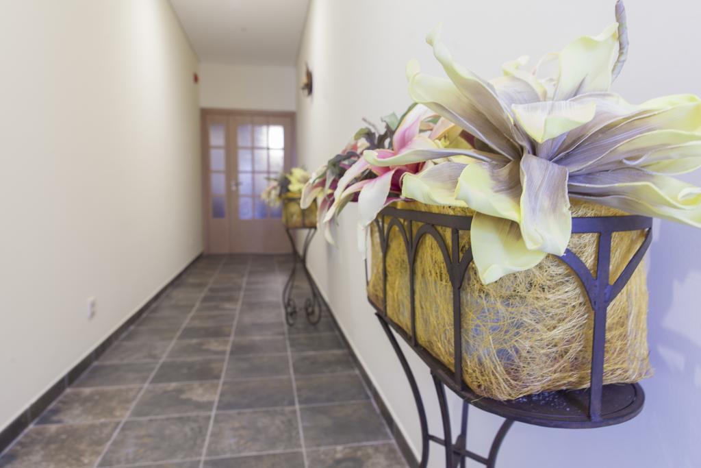 Agro-Turismo Do Roxo Guest House Ervidel Екстериор снимка